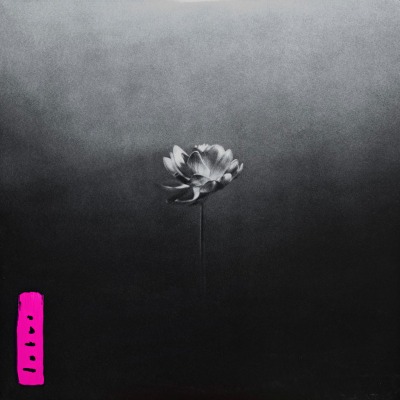 Little Simz - Lotus - Vinyl 2xLP