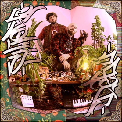 Rokis und DeBue - Zimlich Gschid Dumm Schnore - Vinyl LP